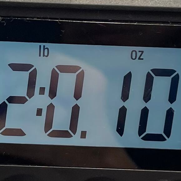 Territory Ahead Men’s Sport Coat Size 38S - Picture 10 of 11